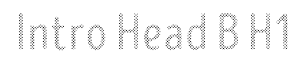 Intro Head B H1