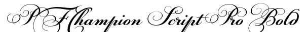 PFChampion Script Pro-Bold