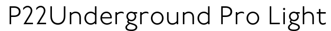 P22 Underground Pro Light