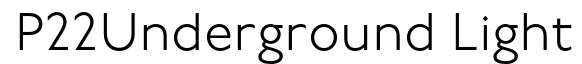 P22 Underground Light