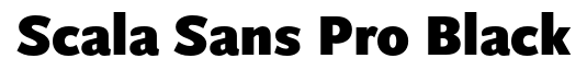 Scala Sans Pro-Black