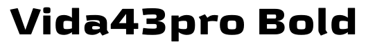 Vida 43 Pro Bold