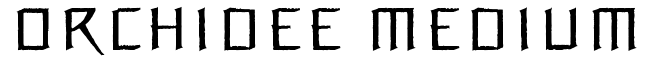 Orchidee Medium