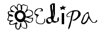 Oedipa Plain