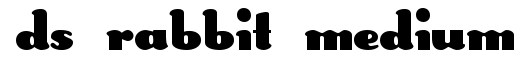 DS Rabbit Medium
