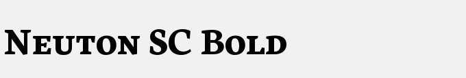 Neuton SC Bold