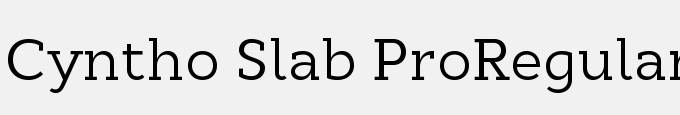 Cyntho Slab Pro-Regular