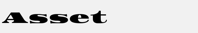 Asset