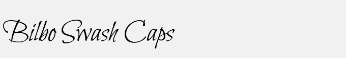 Bilbo Swash Caps