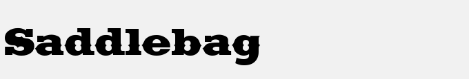 Saddlebag