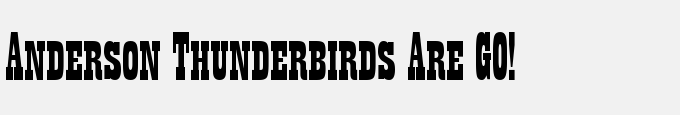 Anderson Thunderbirds Are GO!
