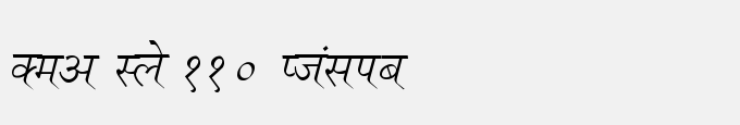 Dev Lys 110 Italic