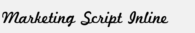 Marketing Script Inline