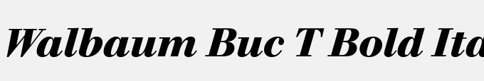 Walbaum Buc T Bold Italic