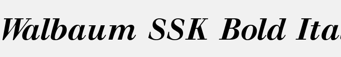 Walbaum SSK Bold Italic