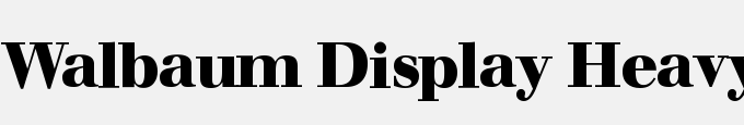 Walbaum Display Heavy-Regular