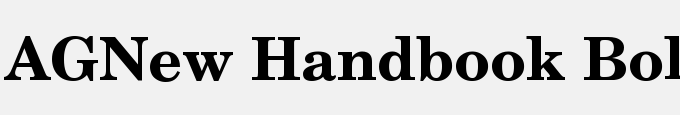 AGNew Handbook Bold
