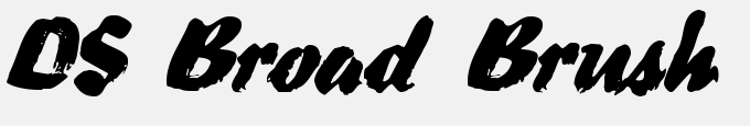 DS Broad Brush