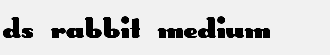 DS Rabbit Medium