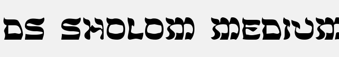 DS Sholom Medium