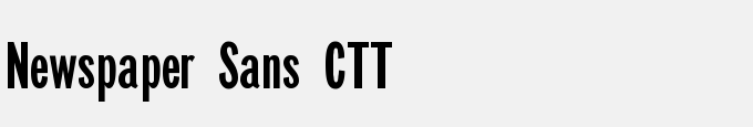 Newspaper Sans CTT