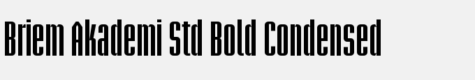 Briem Akademi Std Bold Condensed