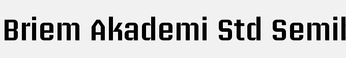 Briem Akademi Std Semibold