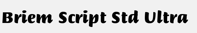 Briem Script Std Ultra
