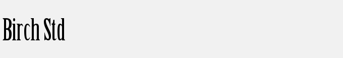 Birch Std