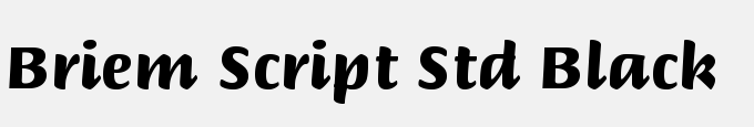 Briem Script Std Black