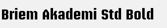 Briem Akademi Std Bold