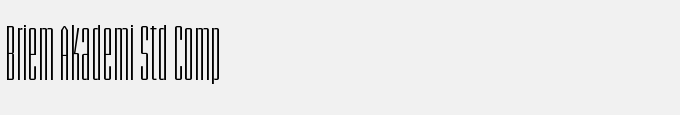 Briem Akademi Std Compressed