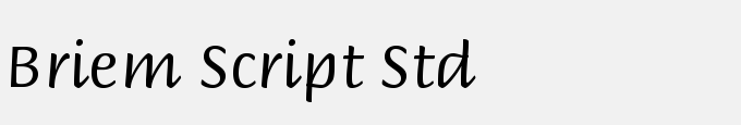 Briem Script Std