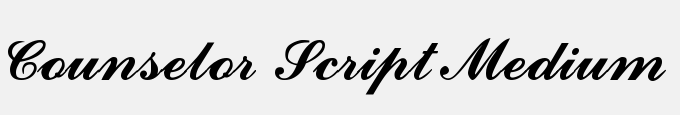 Counselor Script Medium