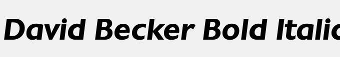 David Becker Bold Italic
