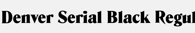 Denver-Serial-Black-Regular