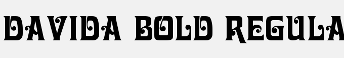 Davida Bold Regular