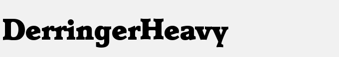 Derringer-Heavy