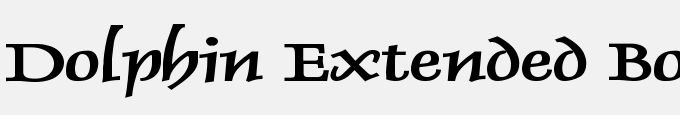 Dolphin Extended Bold