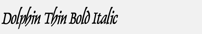 Dolphin Thin Bold Italic