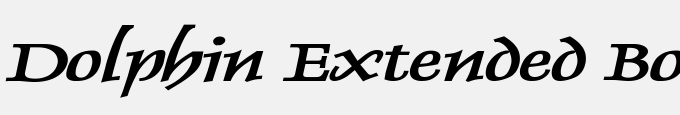 Dolphin Extended Bold Italic