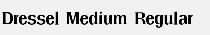 Dressel Medium Regular