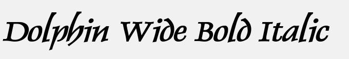 Dolphin Wide Bold Italic