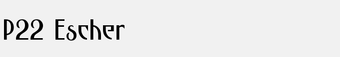P22 Escher