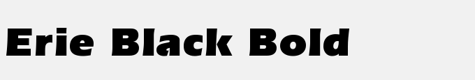 Erie Black Bold