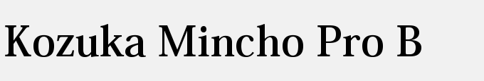 Kozuka Mincho Pro B