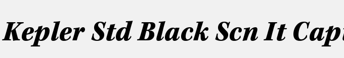Kepler Std Black Semicondensed Italic Caption