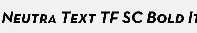 Neutra Text TF SC Bold Italic