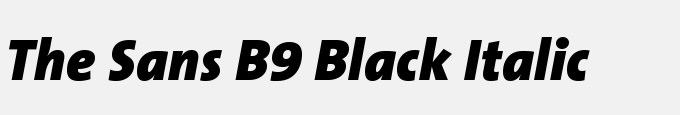 The Sans B9 Black Italic