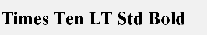 Times Ten LT Std Bold